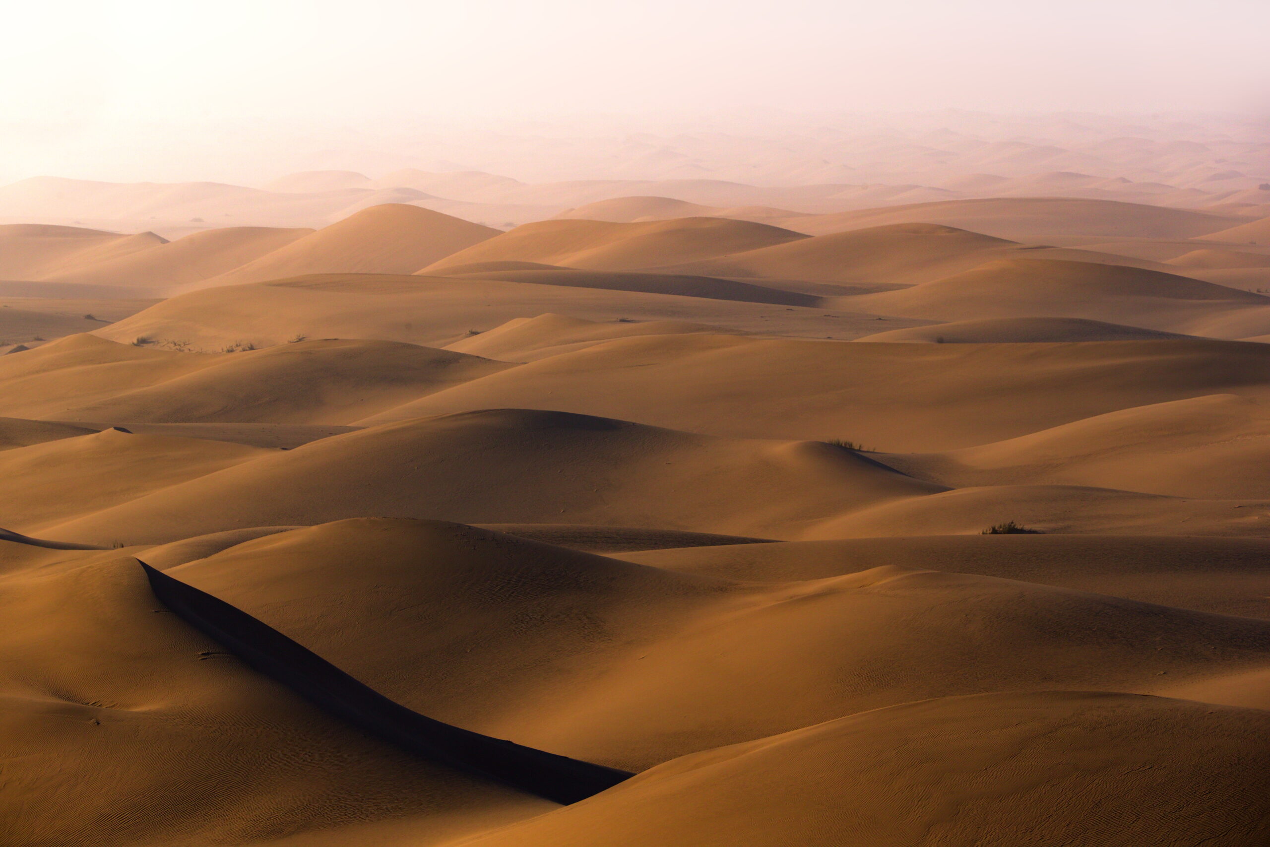 The Hot Desert Climate