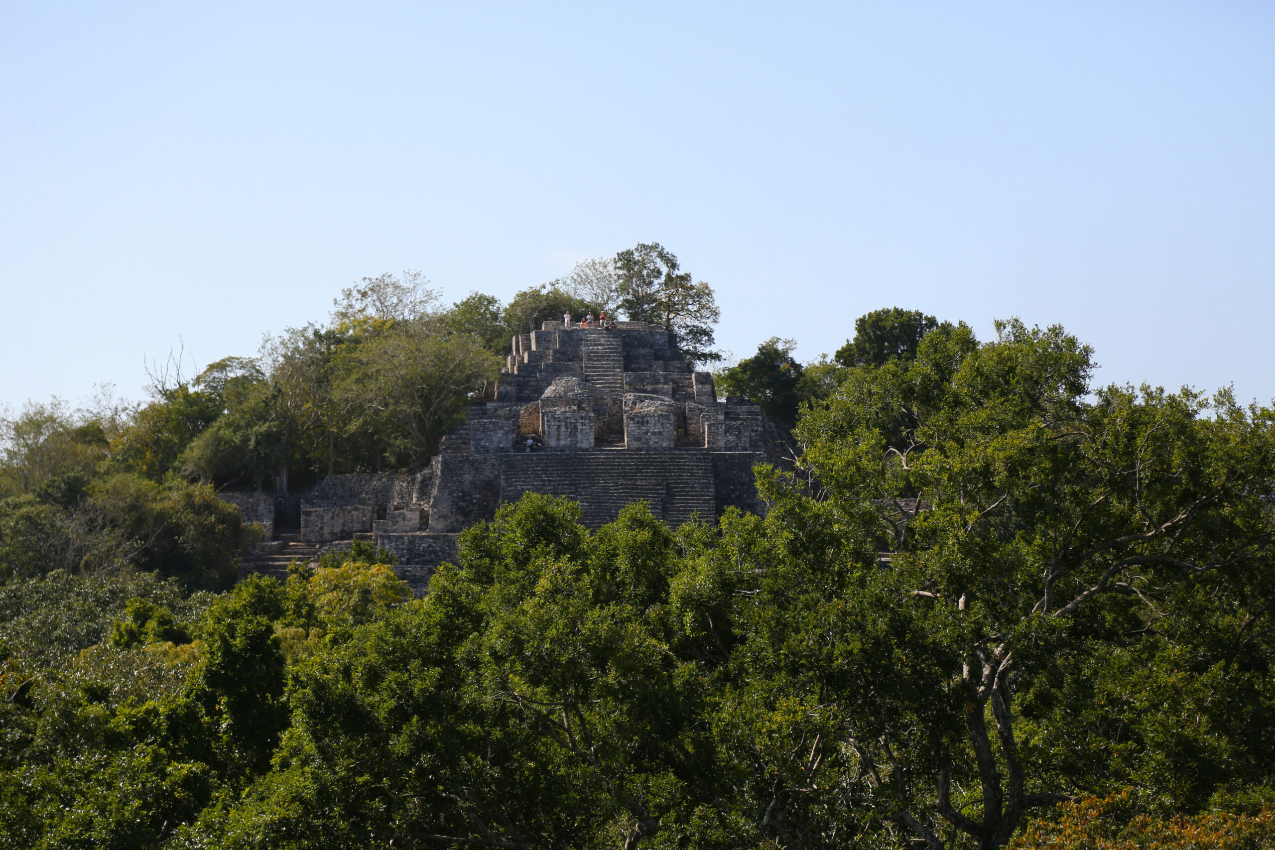 Exploring Calakmul: The ancient mayan city hidden in the heart of the Mexican jungle